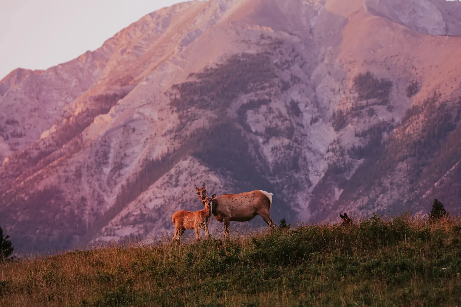Paisaje — Satori Arts, foto 2